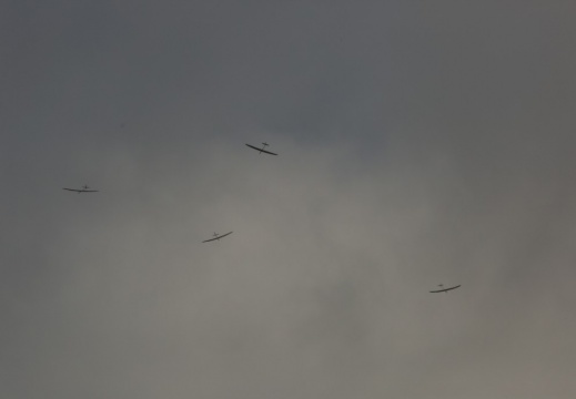 0H5A6305